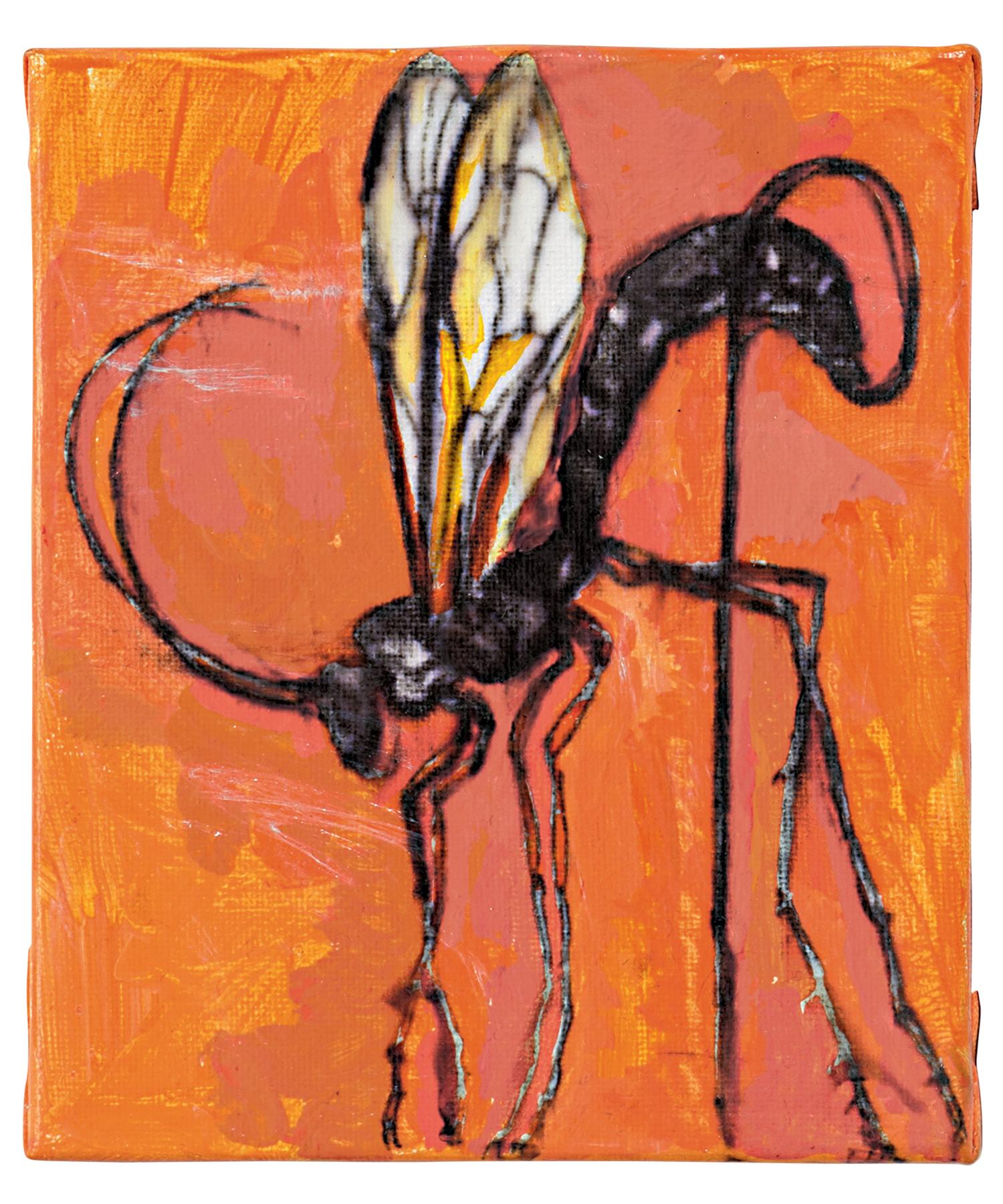 robert_aliaj_dragot_front.png front