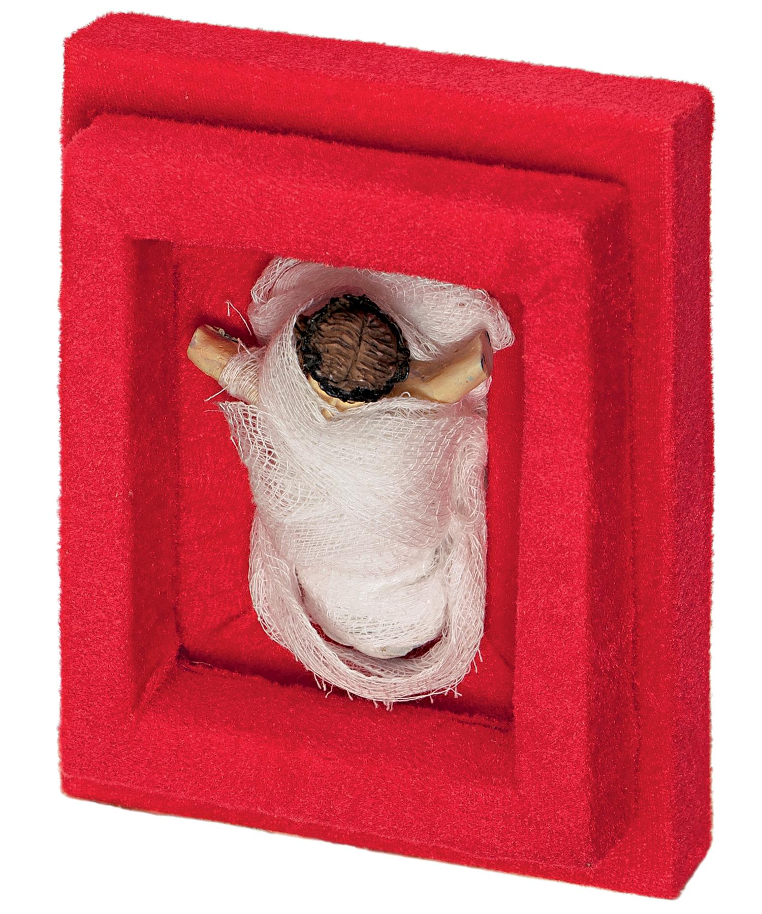 robert_aliaj_dragot_front.png front