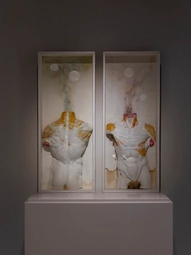 Debussy fine art
